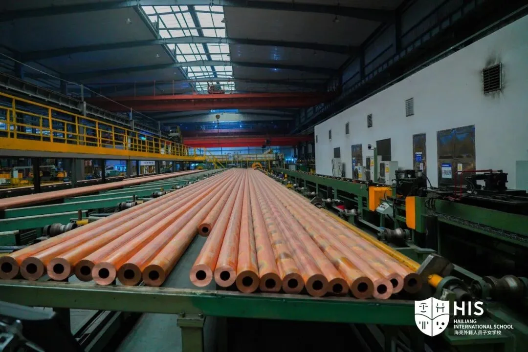 Community workers and students in conversation