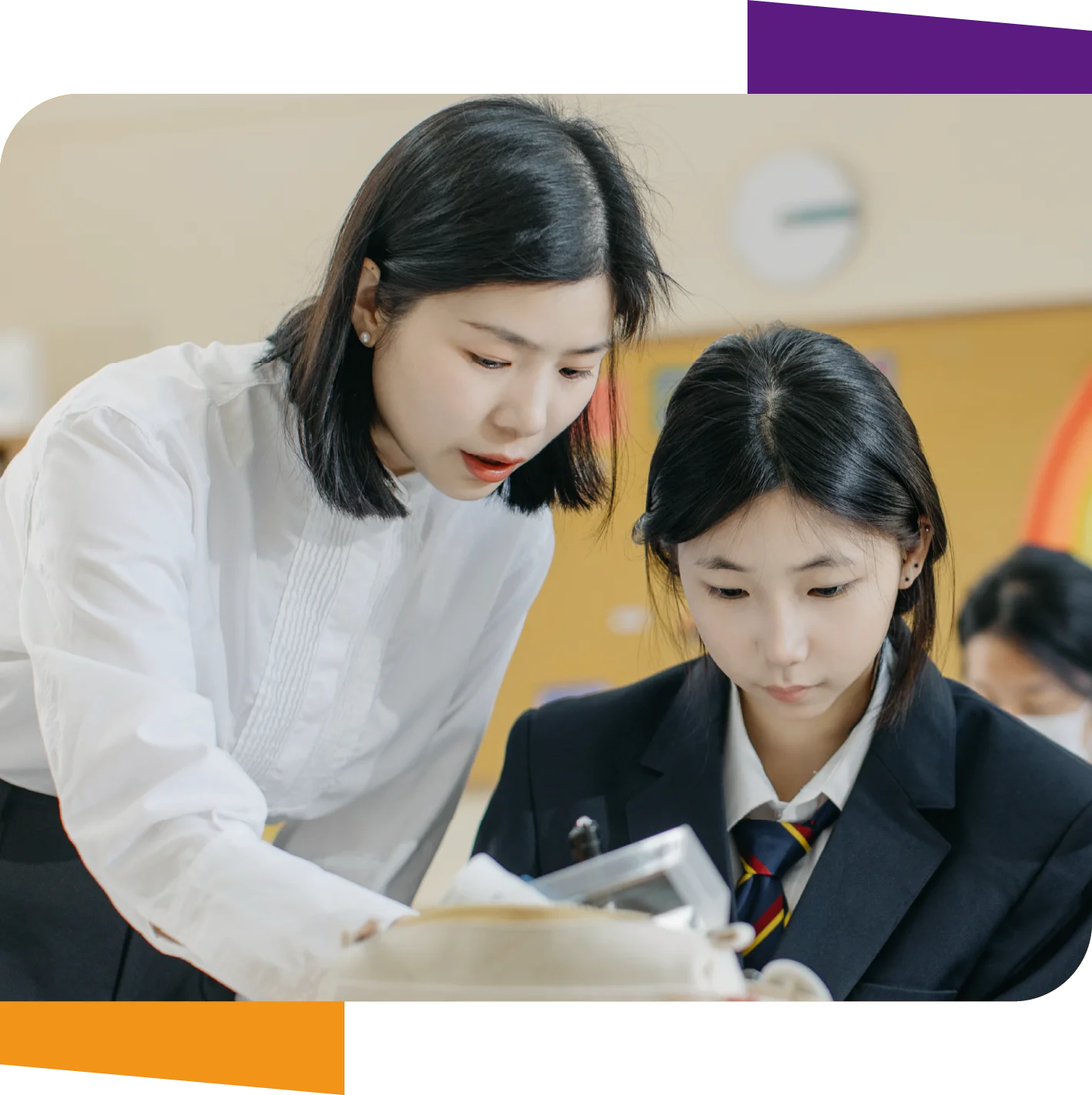 Why Choose This Program