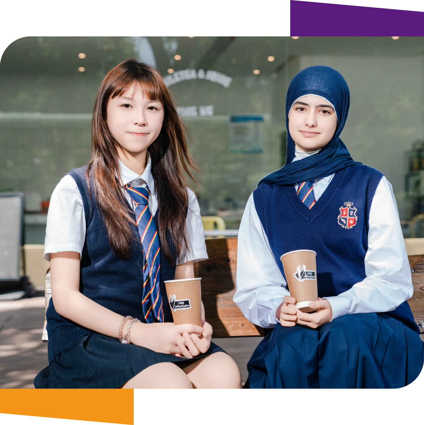 Why Choose This Program