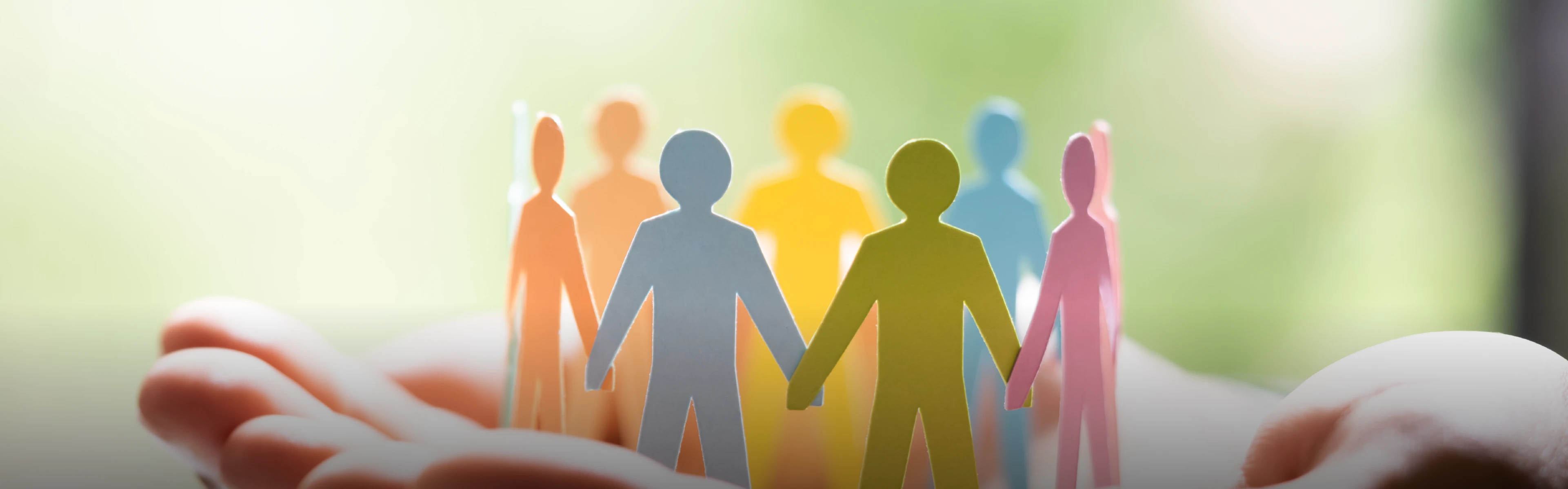 HIS Foundation Banner